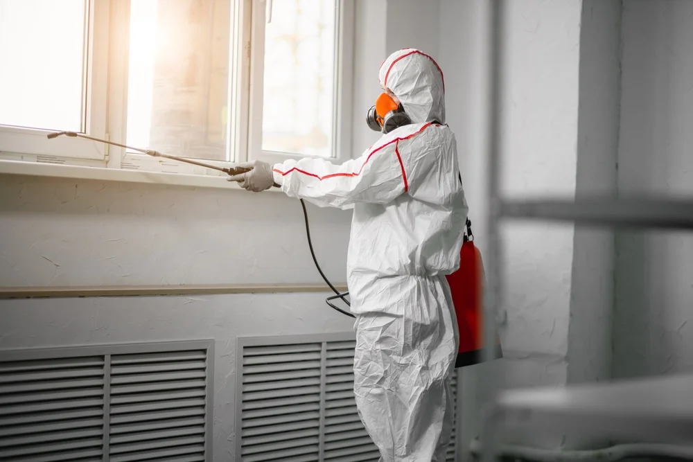 Professional mold remediation services in Andover, OH